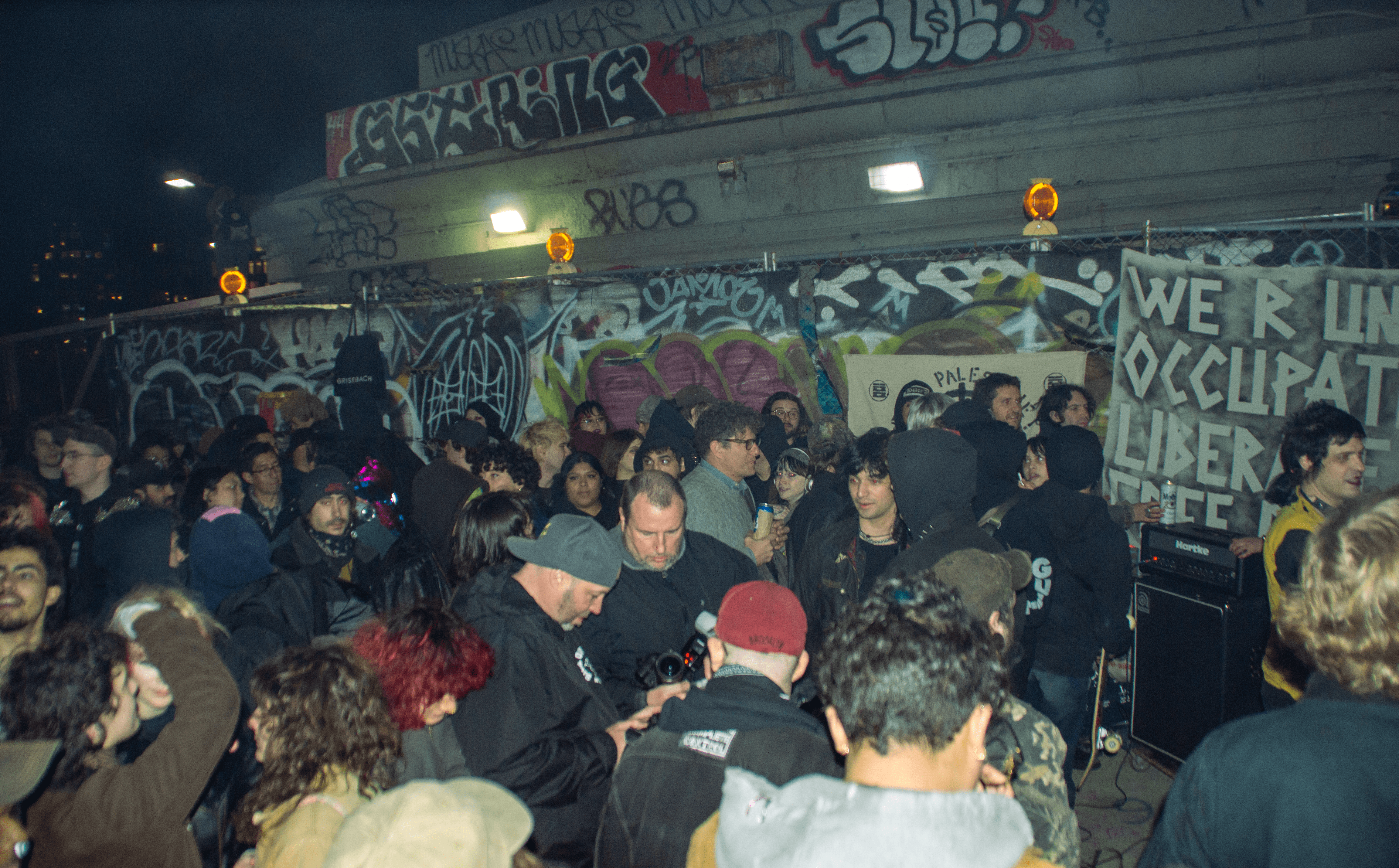 dollhouse band crowd